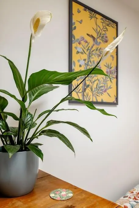 ברייטון Self Contained Two Room Studio Apartment, Own Entrance, Private Parking 0*,